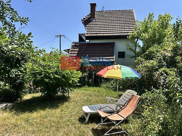 Csendes, Gomba képe