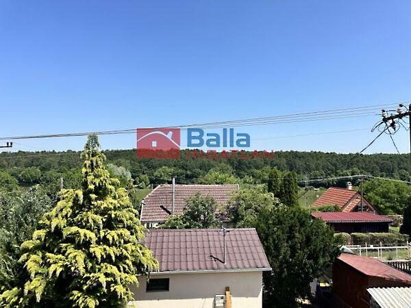 Csendes, Gomba 2. képe