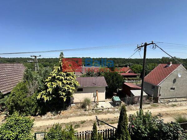 Csendes, Gomba 3. képe