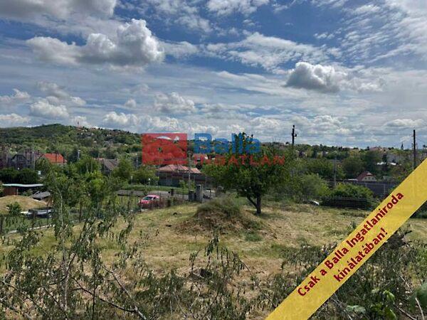 Erzsébet, Pécel képe