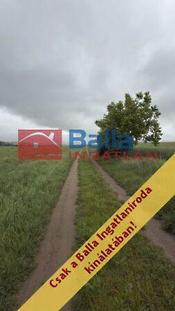 Városközpont közeli, Pécel képe