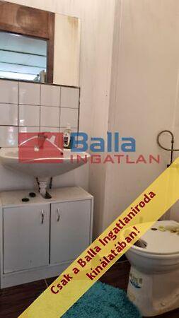 Szegfű utca, Zebegény 3. képe