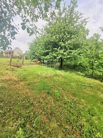 Fákkal ölelt építési, Lakhegy 3. képe