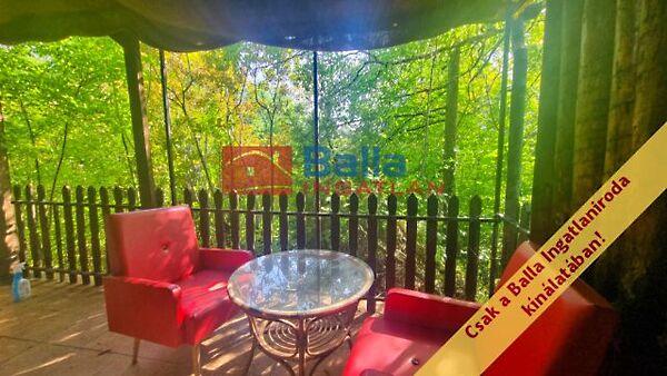 Szegfű utca, Zebegény 3. képe