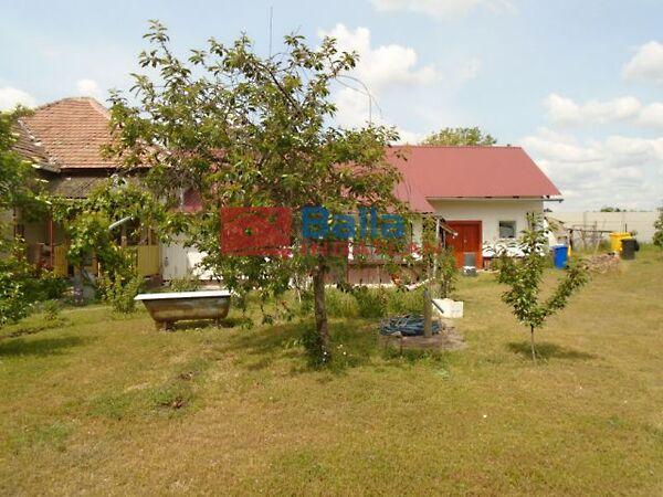 Kolozsvári, Tiszakécske 2. képe