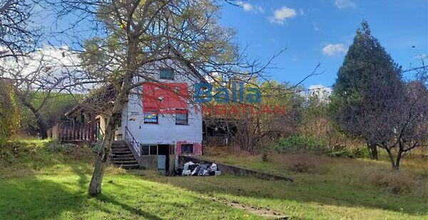 Fácános, Mogyoród képe