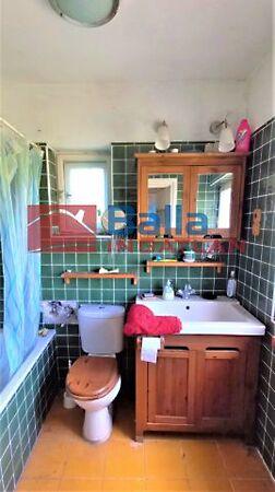 Fácános, Mogyoród 3. képe