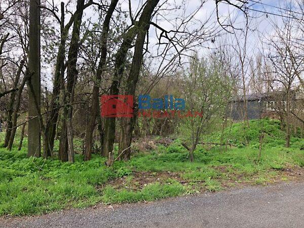 ALMAFA, Budapest, XXI. kerület 2. képe