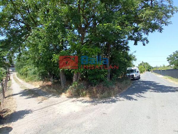 ALMAFA, Budapest, XXI. kerület 3. képe