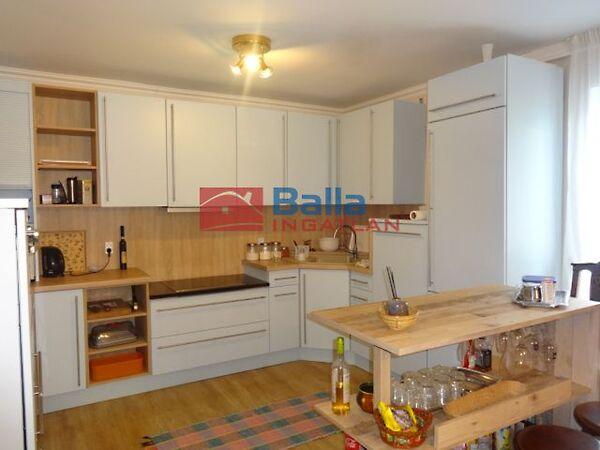 Cinke, Tiszakécske 3. képe