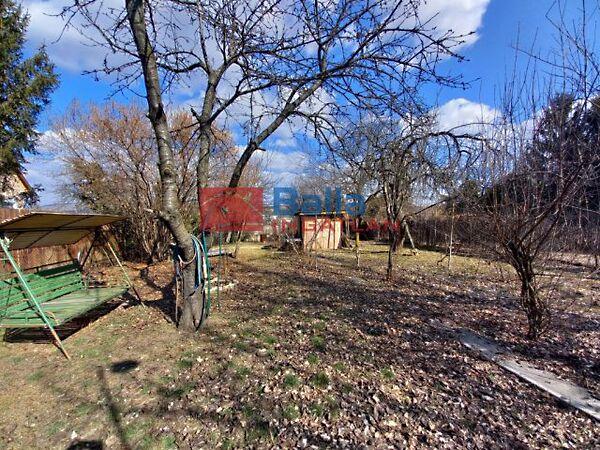 Kukukk, Mogyoród 2. képe