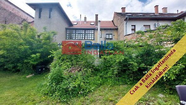 Széchenyi István, Vác 2. képe