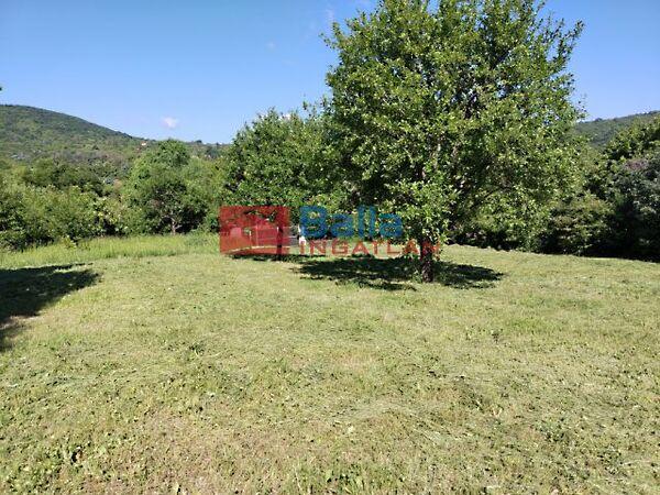 Honfoglalás, Pomáz 3. képe