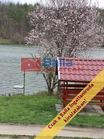 Gomba Horgásztó, Gomba 2. képe