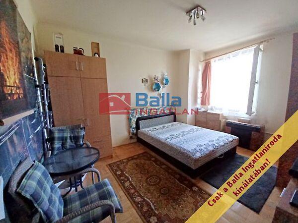 Fűzfa, Budapest, XXIII. kerület képe