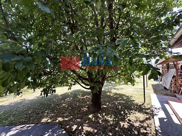 Szép, Káva 2. képe