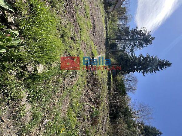 Írtás, Szentendre 2. képe