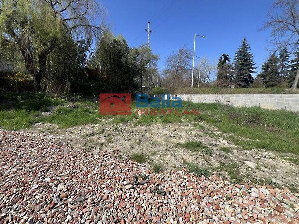 Gyík, Szentendre képe