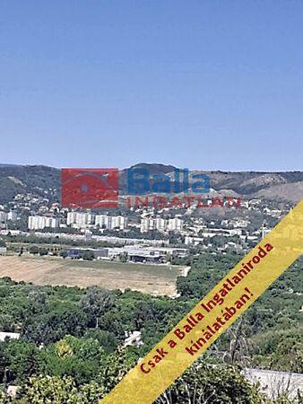 Zöldfa, Törökbálint 2. képe