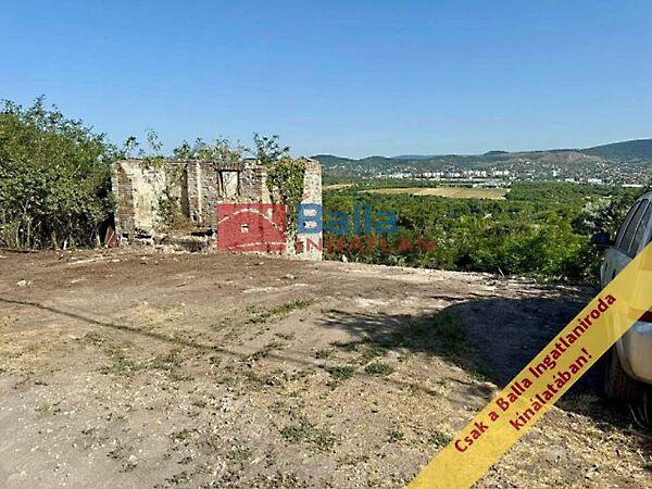 Zöldfa, Törökbálint 3. képe