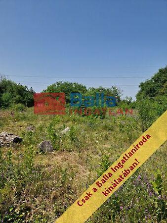 Pacsirta, Mogyoród 2. képe