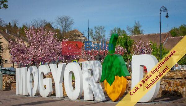 Pacsirta, Mogyoród képe