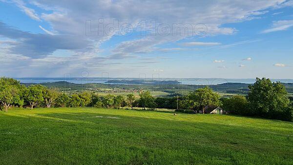 Balatonszőlős képe
