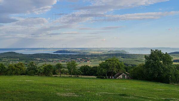 Balatonszőlős 2. képe