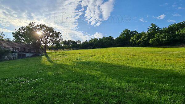 Balatonszőlős 3. képe