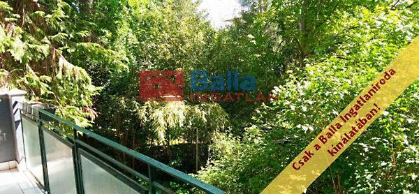 Pasaréti térhez, Budapest, II. kerület képe