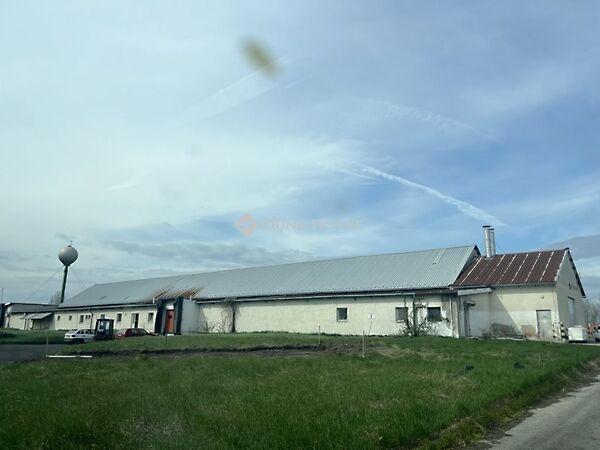 Martonvásár 2. képe