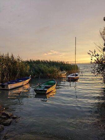 Zrínyi, Balatonvilágos képe