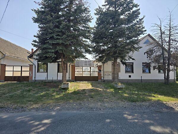 Damjanich, Vaskút képe