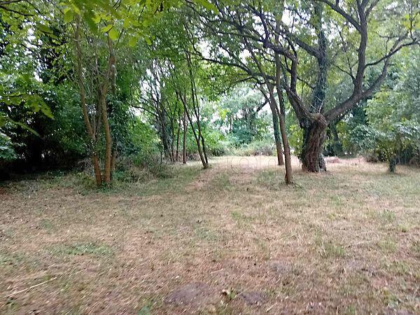 Balatonszárszó 3. képe