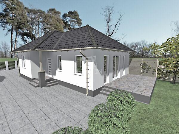 Ady Endre, Valkó képe