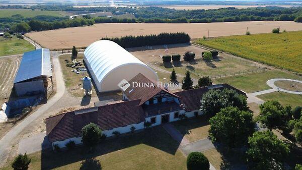 Kossuth Lajos, Pogány 2. képe