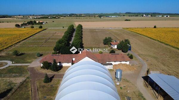 Kossuth Lajos, Pogány 3. képe