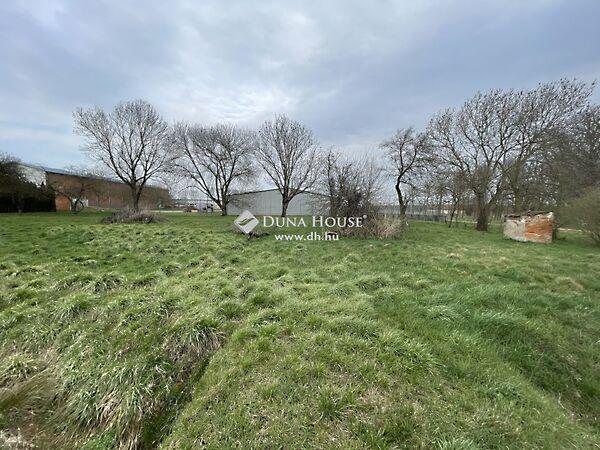 Fő, Rádóckölked 2. képe