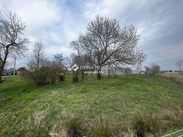 Fő, Rádóckölked 3. képe