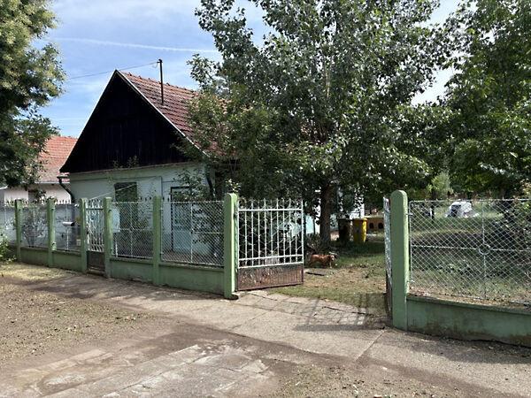 Murgács Kálmán, Székkutas képe