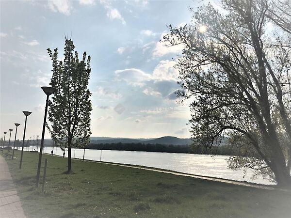 Danubius, Budapest, XIII. kerület képe