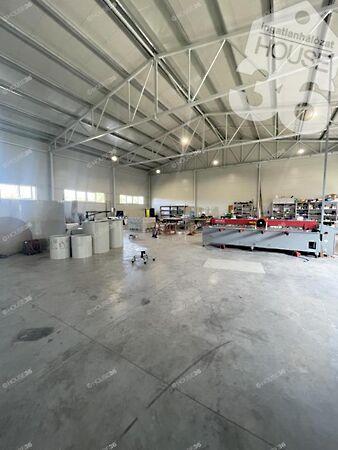 Ceglédi, Kecskemét 3. képe