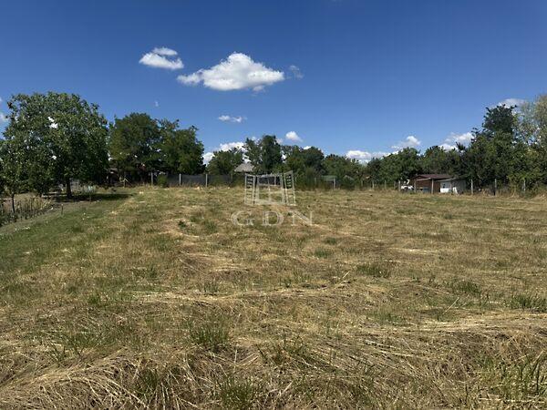 Szegfű, Úrhida 2. képe