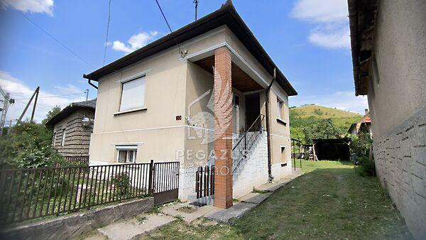 Ady Endre, Arló képe