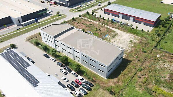 Levendula, Székesfehérvár képe