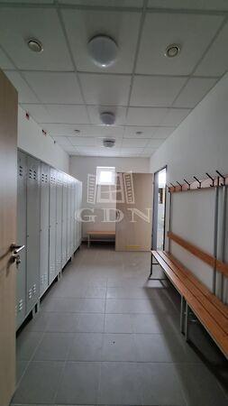 Levendula, Székesfehérvár 2. képe