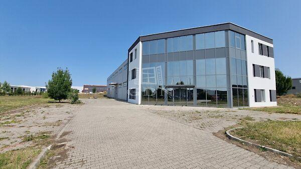 Levendula, Székesfehérvár 3. képe