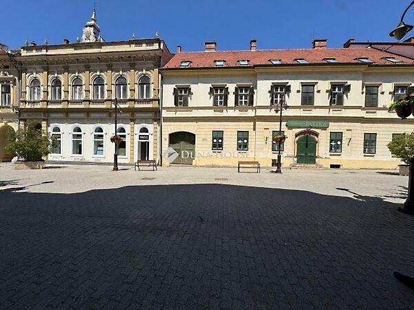 Fő, Kaposvár 2. képe