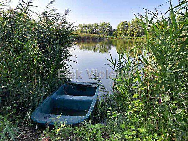 Gátőr, Szajol képe