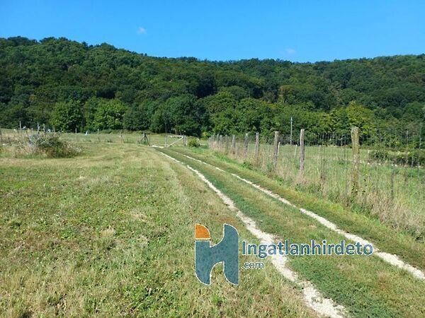 Rákóczi, Vállus képe